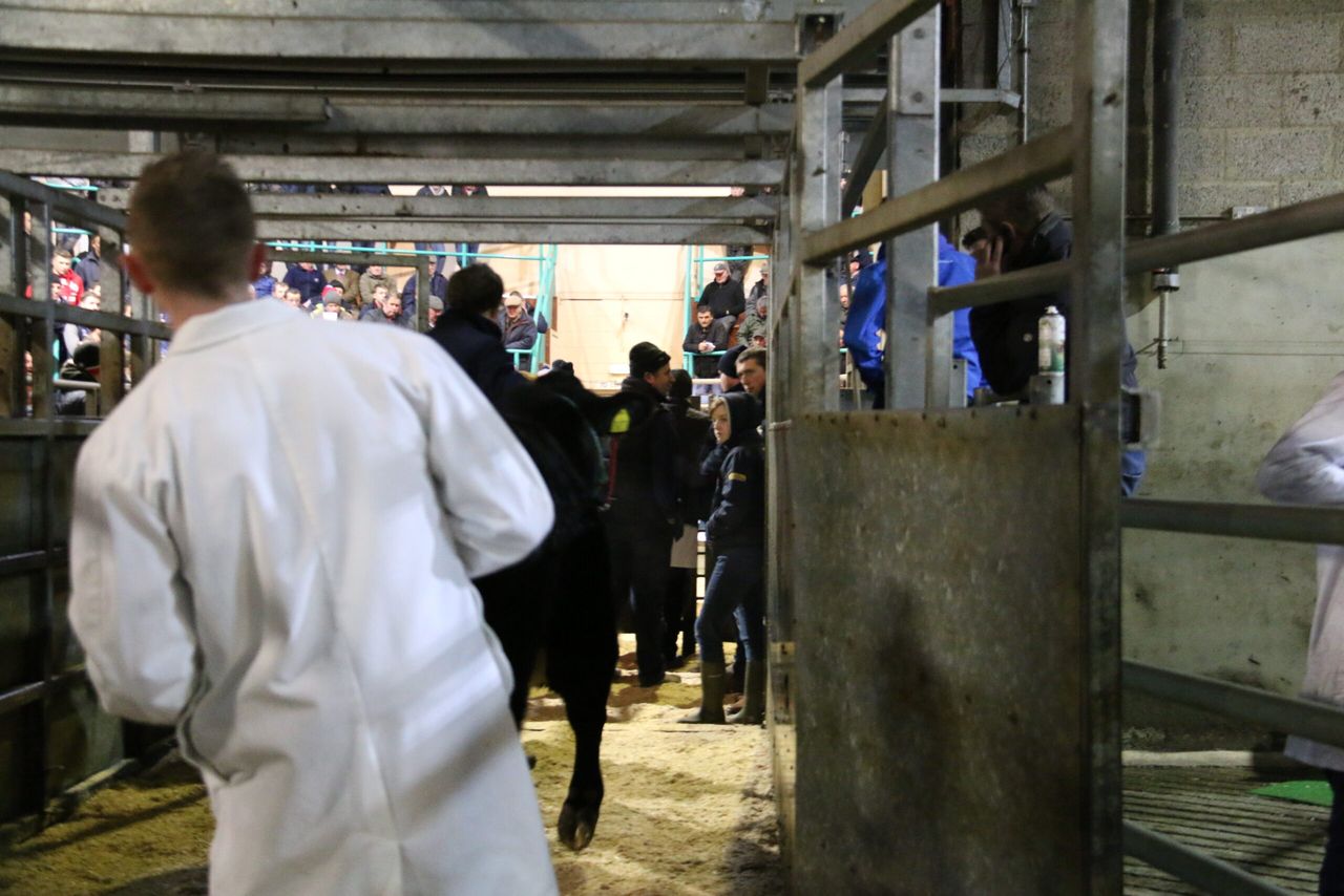 Date set for ‘gradual reopening’ of NI marts