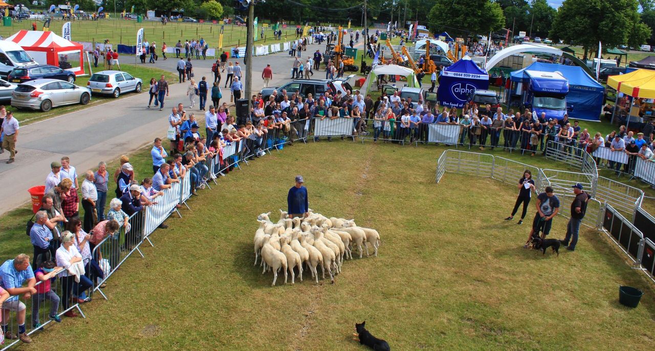 Top young shepherds prepare to compete at NSA Sheep Event 2018