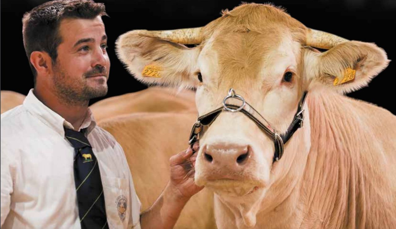 European livestock show gets green light from organisers