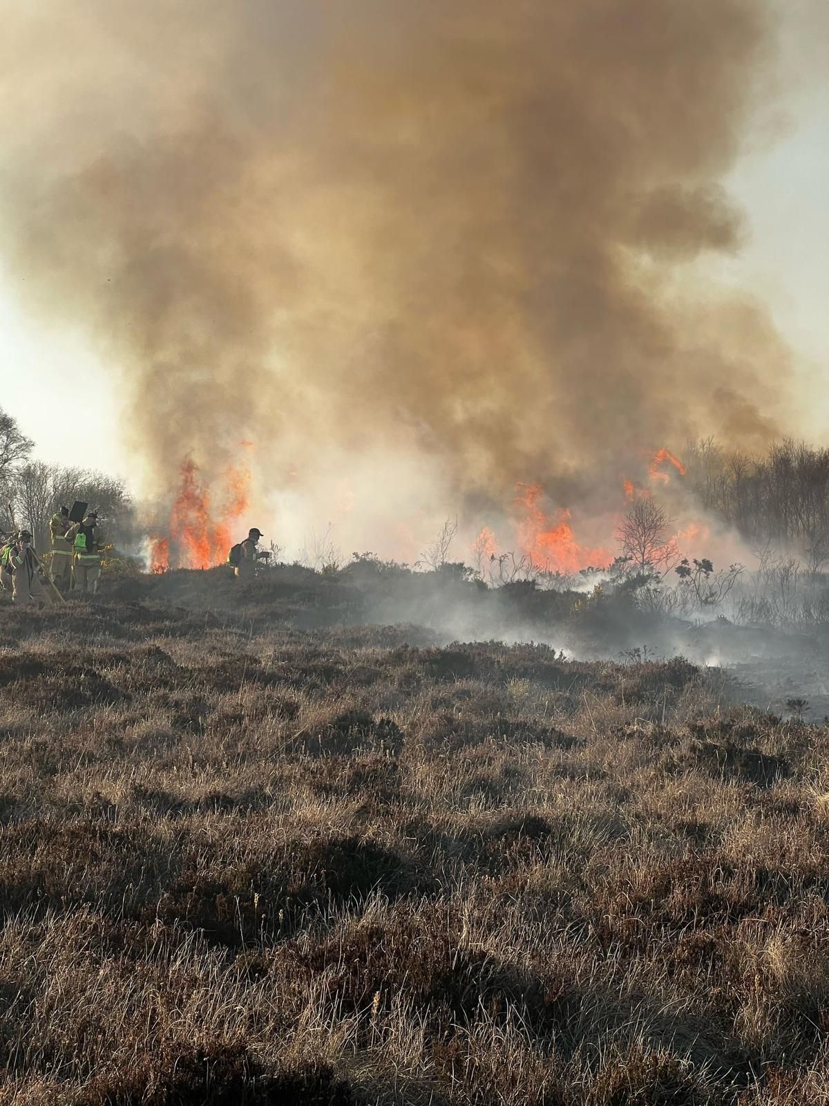‘Designated sites are quite literally adding fuel to the fire’ – UFU