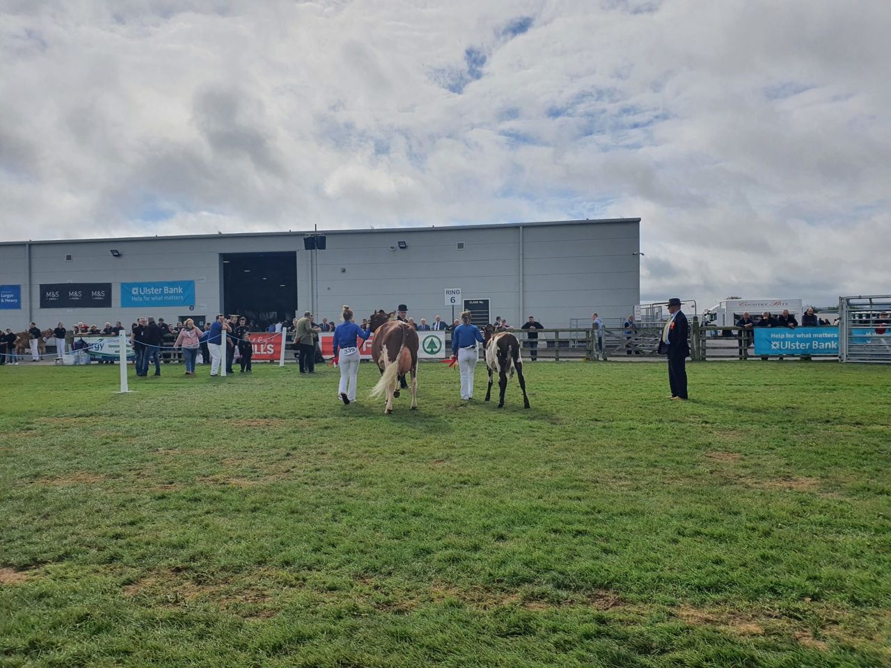 No poultry classes at this year’s Balmoral Show
