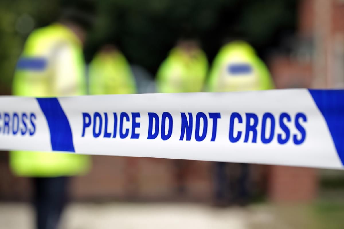 30 sheep killed in Christmas dog attack on a Cheshire farm