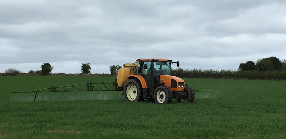 Best-practice cereal management tips - for the month of May