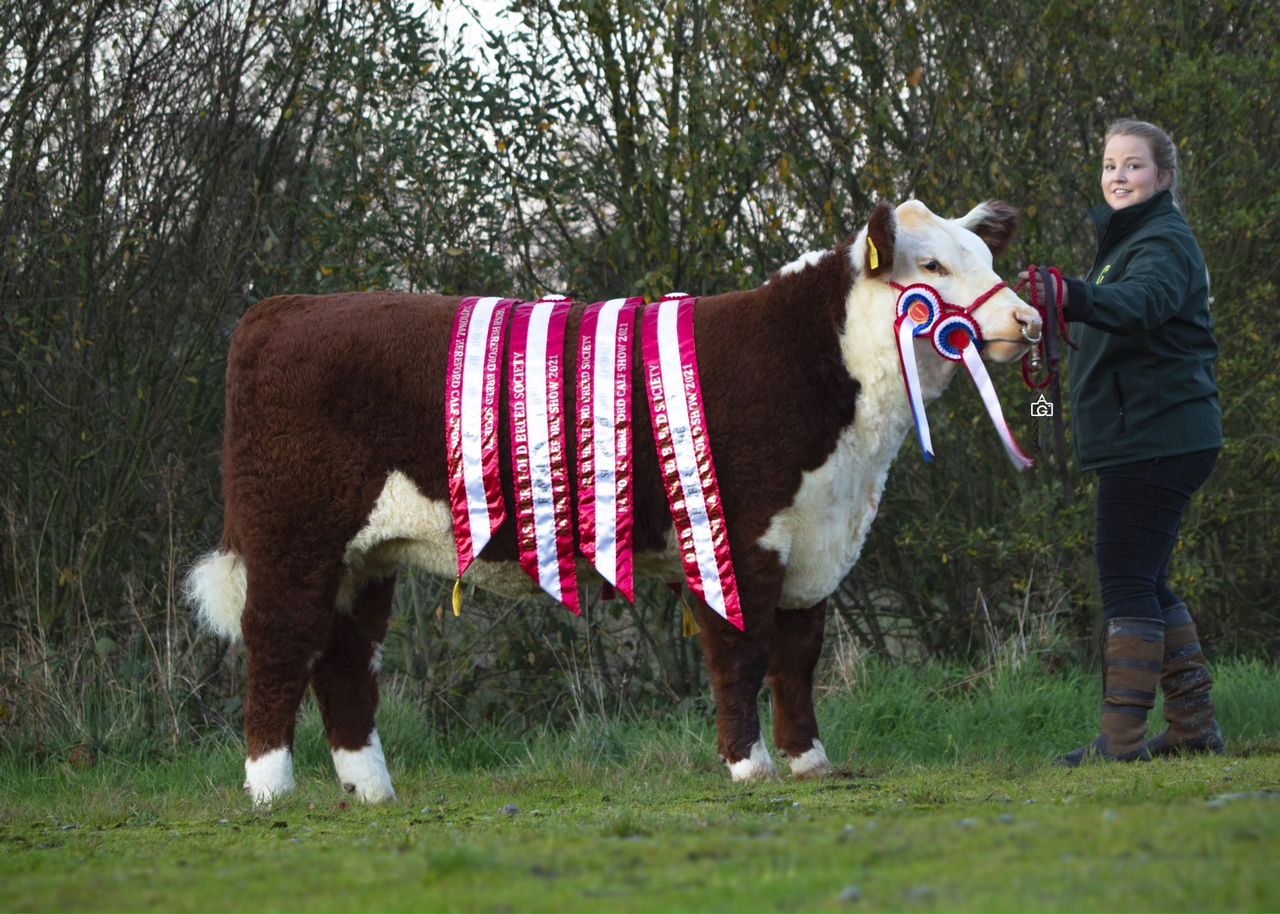 Inaugural Genetic Gems sale sees top price of €9,000