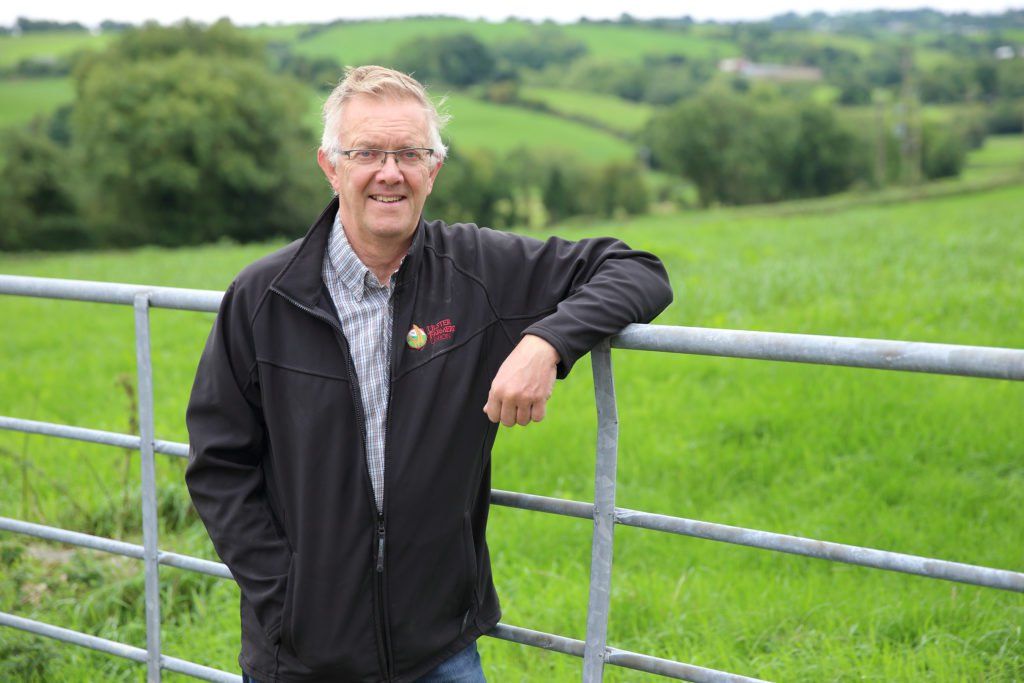 The threat of Brexit continues to hang over sheep sector in Northern Ireland