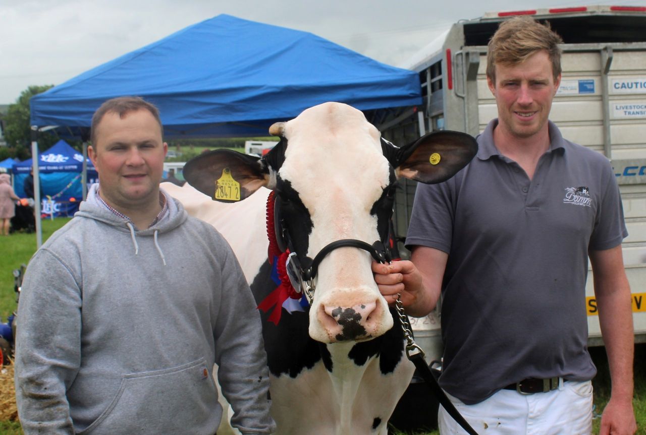 ‘Outstanding’ young dairy cow comes to fore at Newry Show 2026