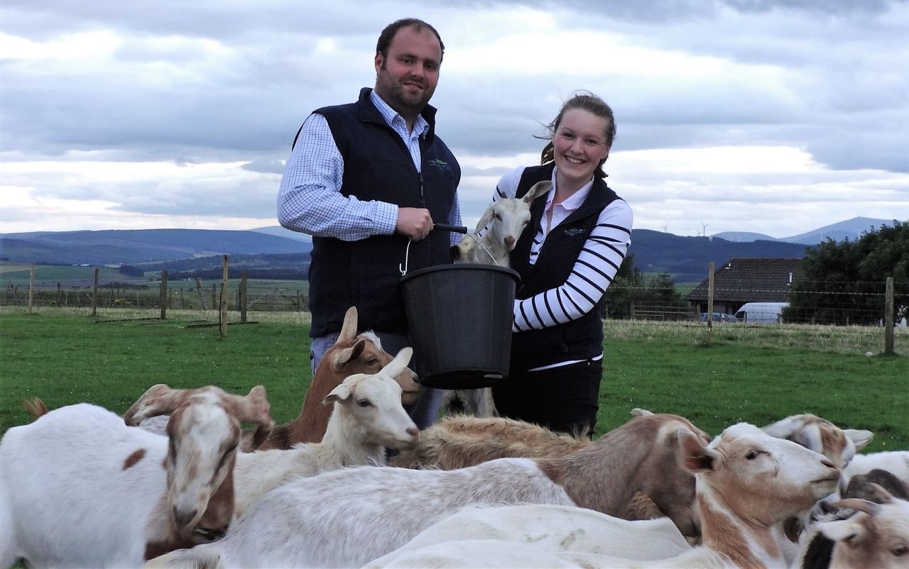 3 UK farms shortlisted for NEWBIE Awards