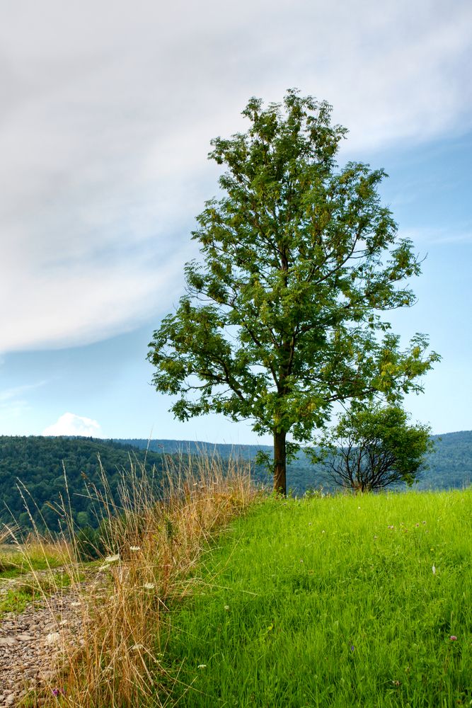 Dealing with hazardous waste on your farm
