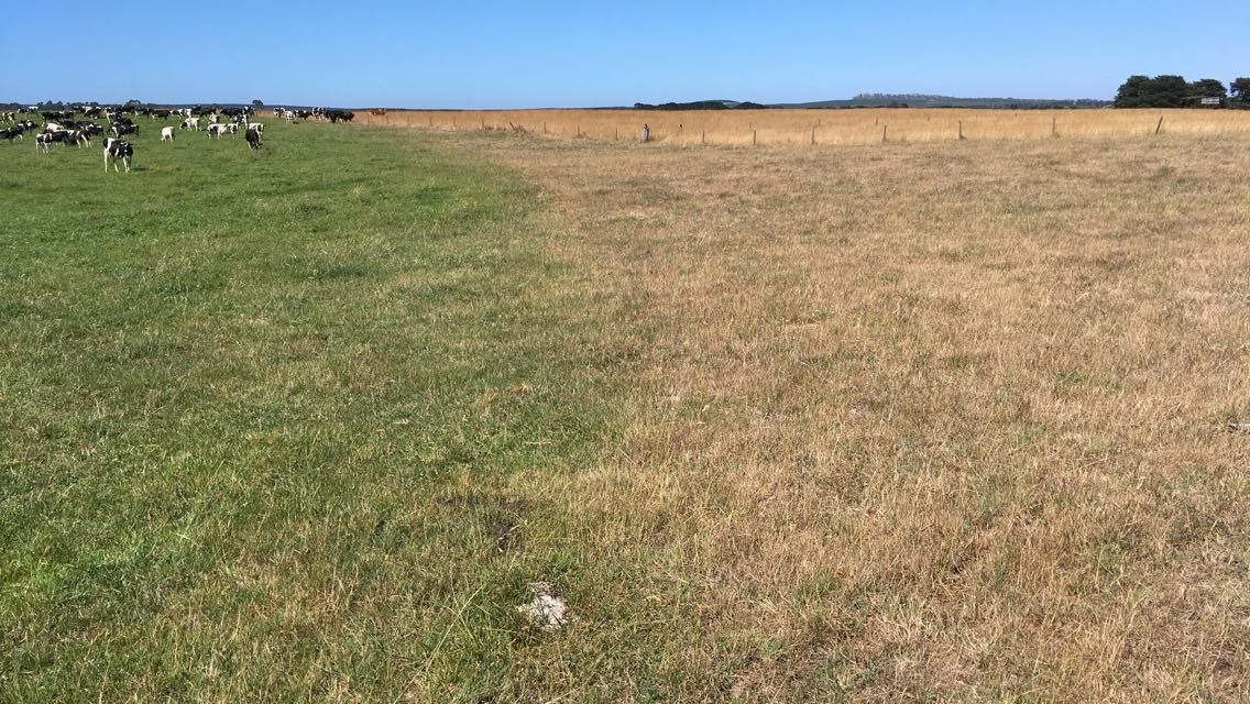 Australian farmers fear ‘dud’ trade deal with EU