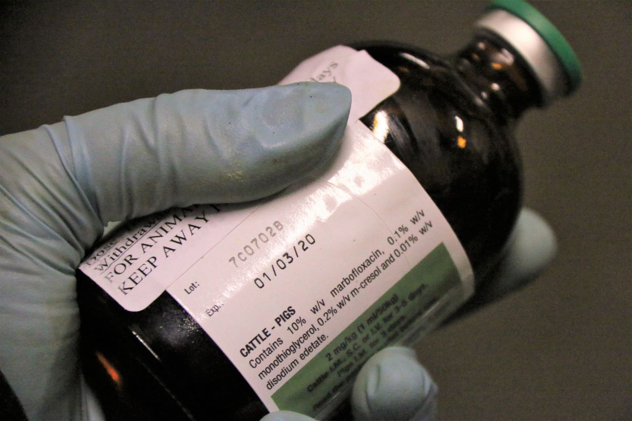 Industry specialists to go head-to-head over antimicrobial resistance