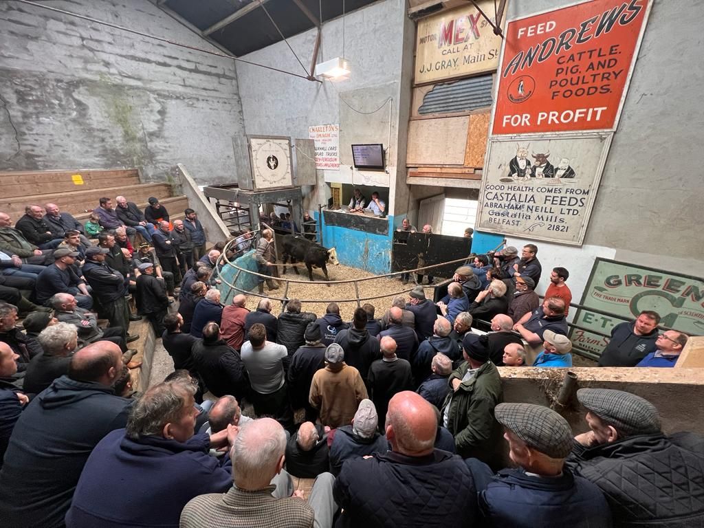 First sale under new ownership at Fivemiletown Mart