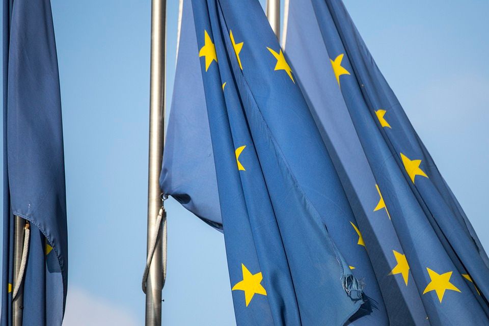 MEPS agree to ‘simplify’ rules for British goods entering NI