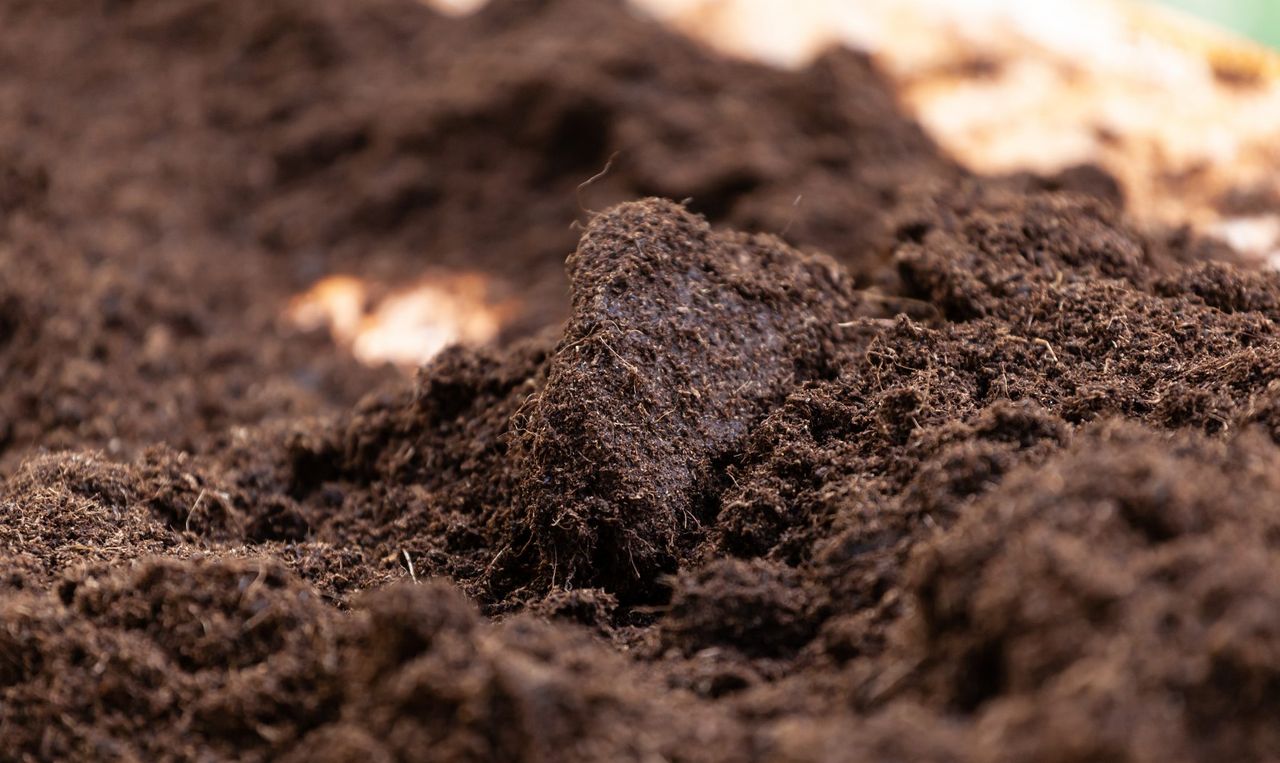 Could soil’s ability to ‘remember’ drought ensure more resilience?