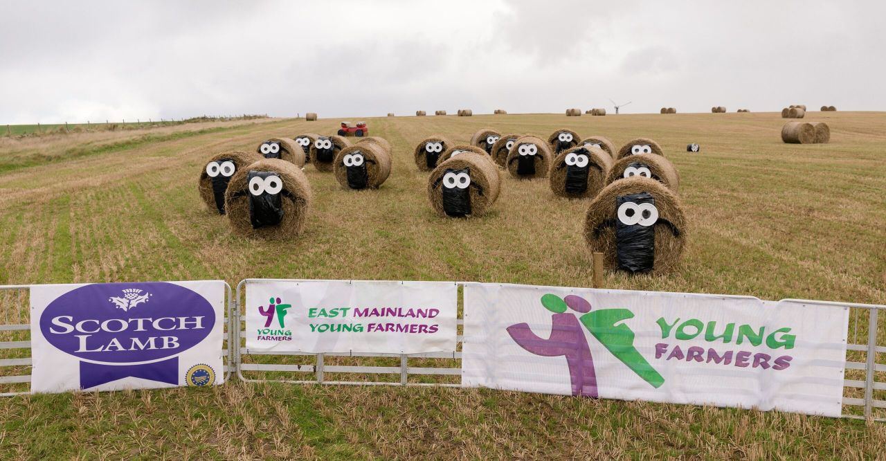 Pics: Bale Art competition finalists revealed