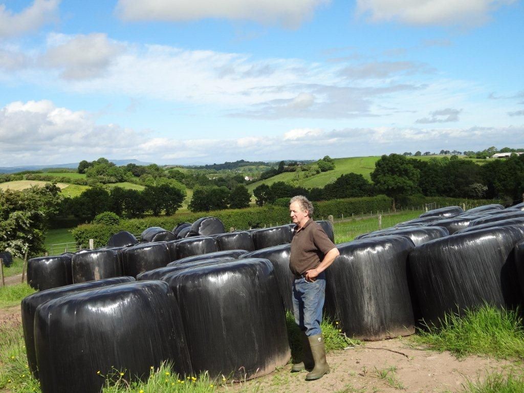 Managing grass to produce fodder