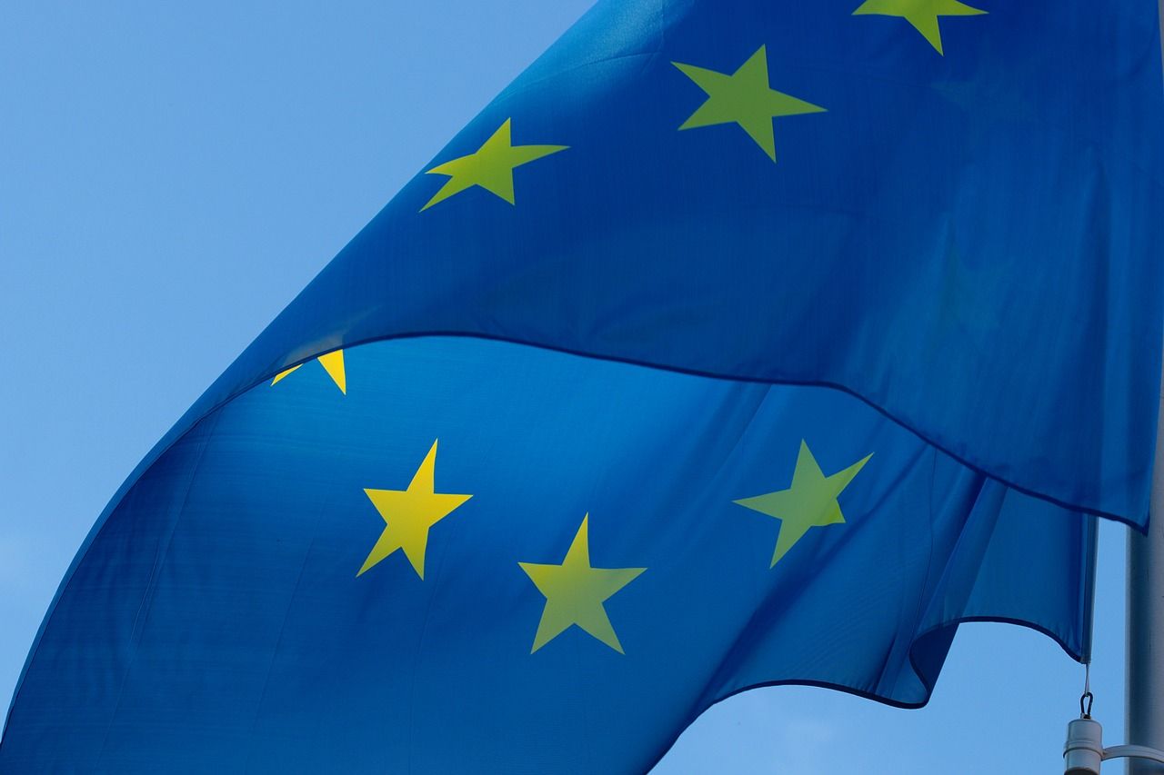 Brexit: Farmers For Action calls for second referendum