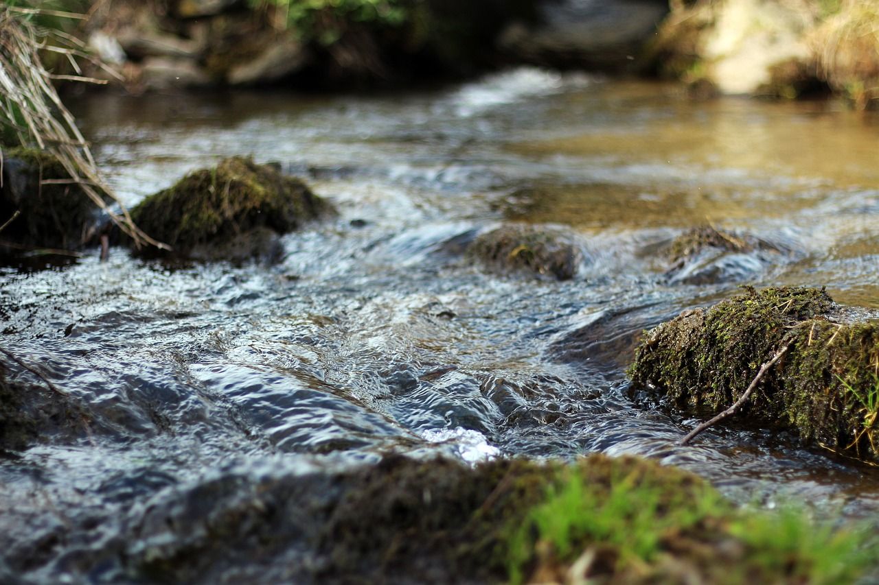 Farmer fined for 'reckless' pollution of River Ely tributary