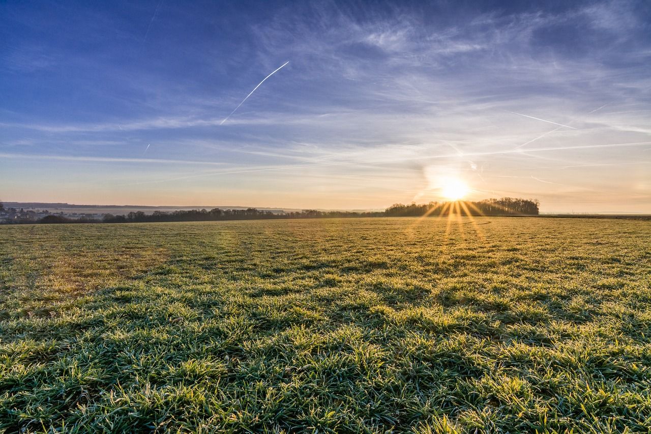 Closing out the grazing platform on heavy soil farms