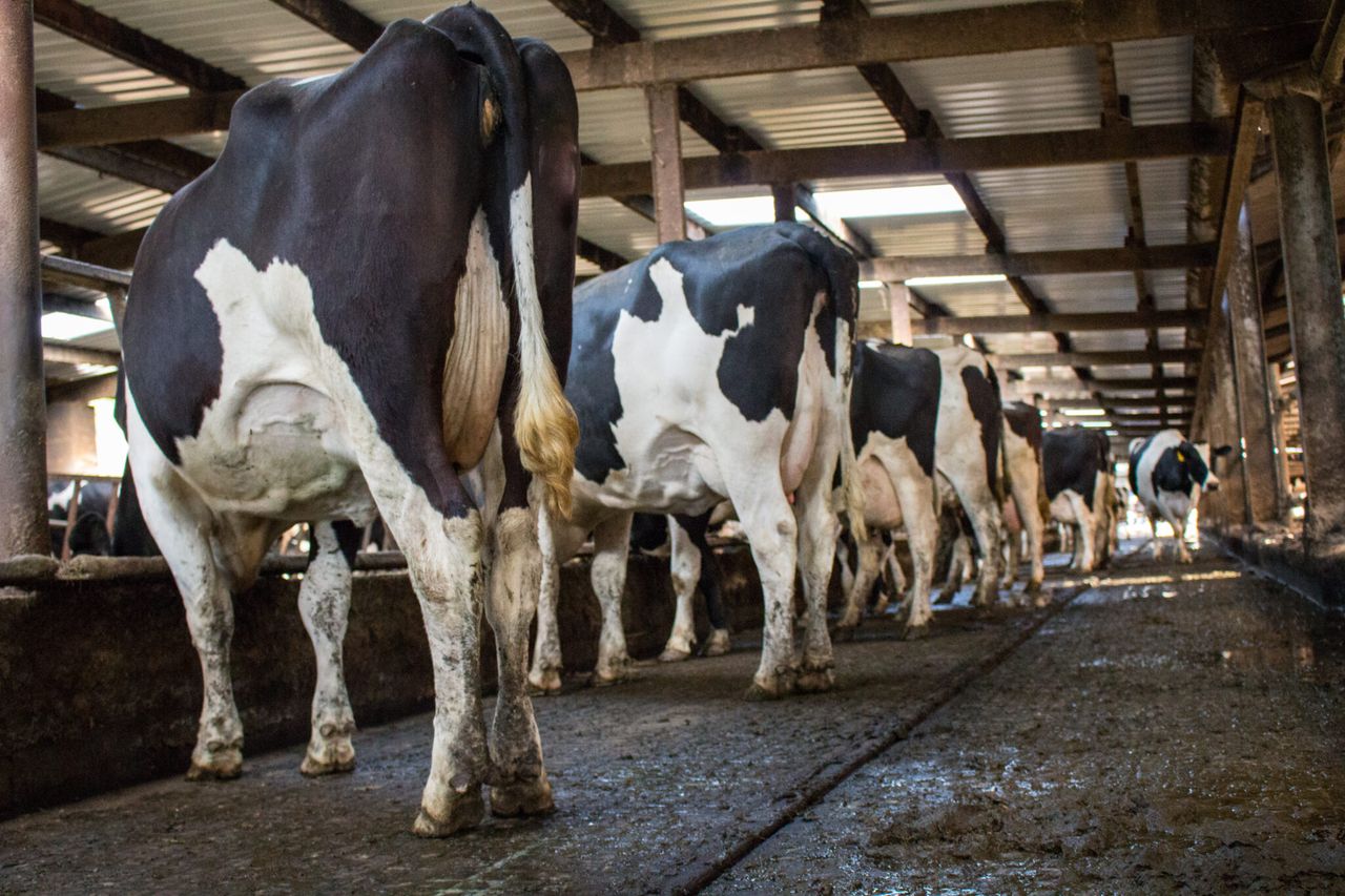 UFU raises major concerns over TB budget cuts