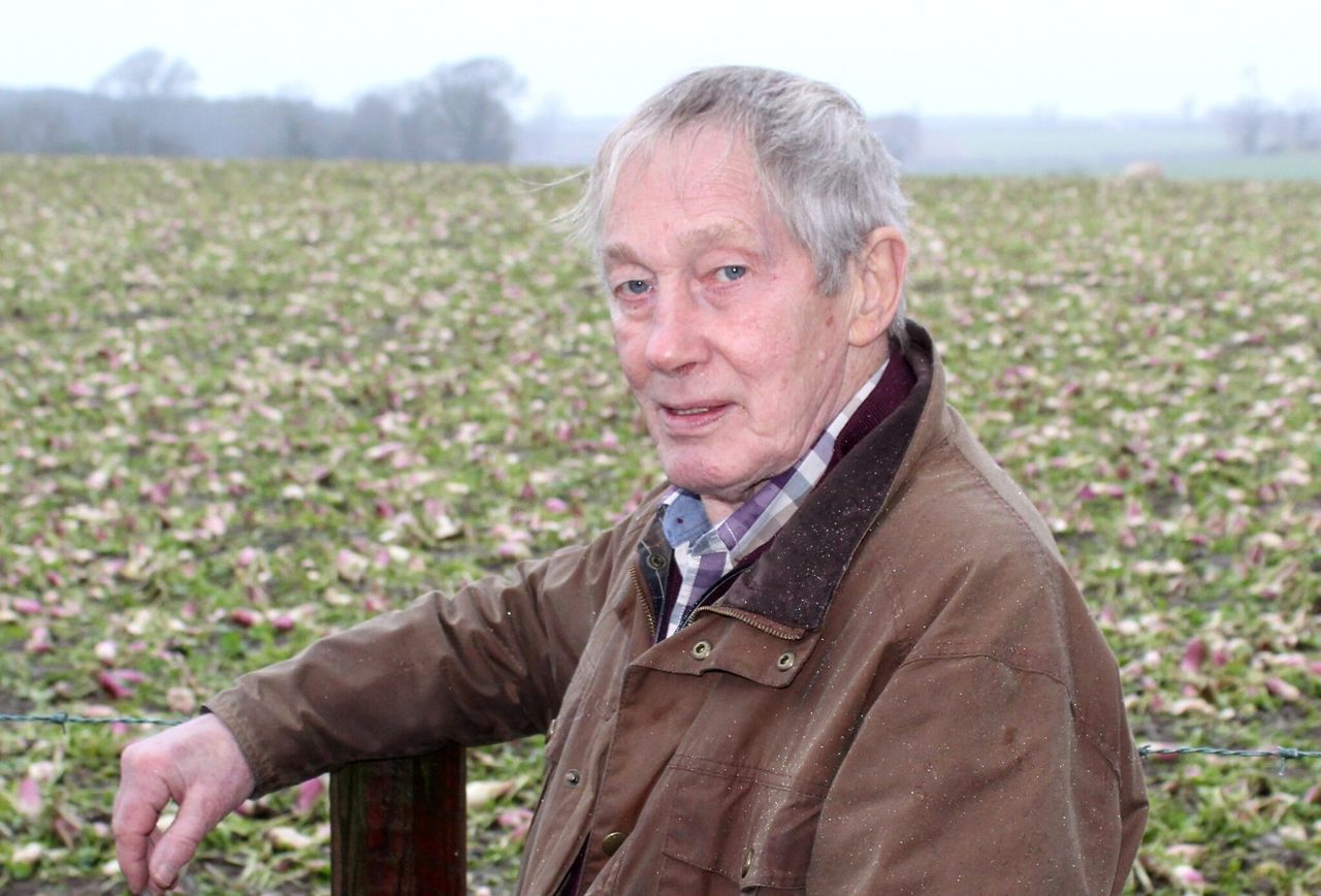 Tillage: One cereal grower opts for P and K holiday in 2023