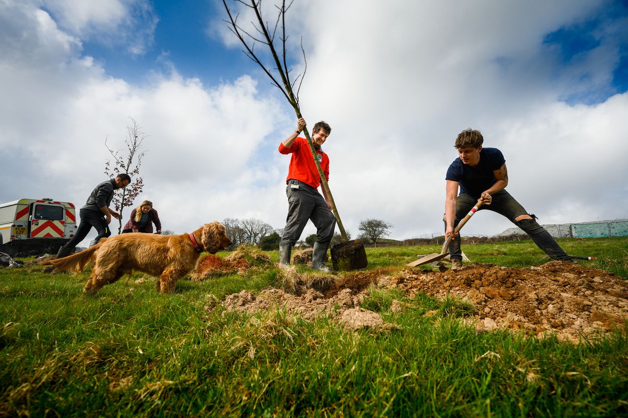 New Community Forest set to be a major step towards carbon net zero goals