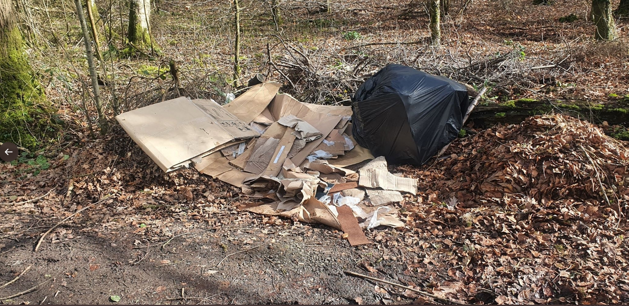 'Facebook fly-tipper' caught by Wiltshire Council