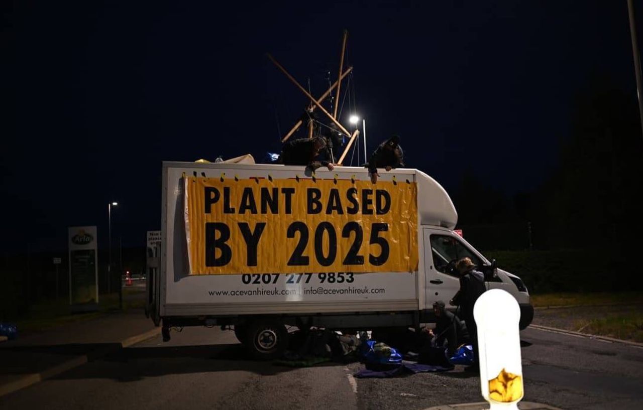 Animal welfare activists blockade UK dairy factory
