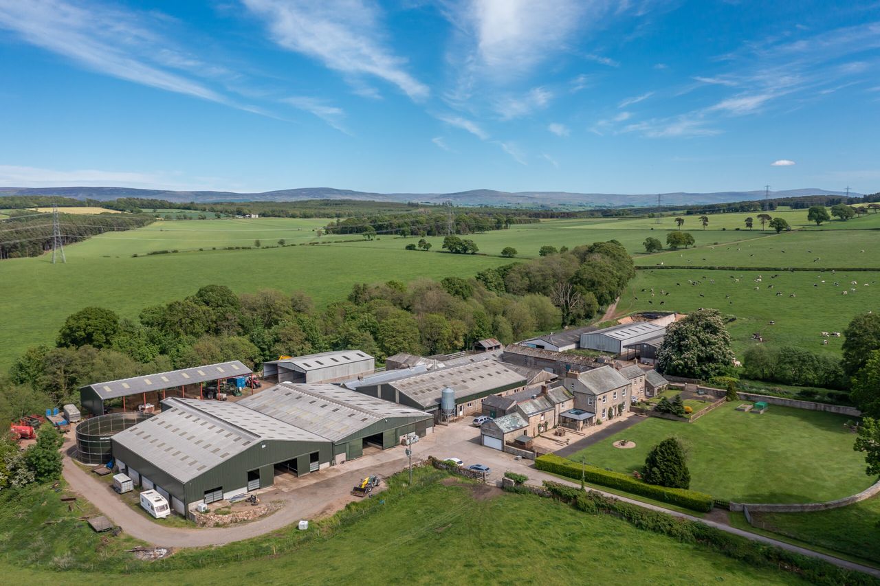 £7m dairy farm in Cumbria hits the market