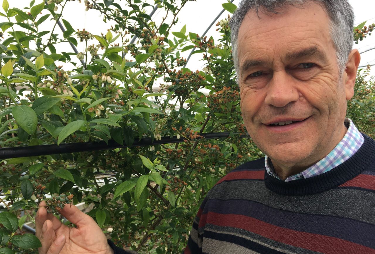 Scottish fruit farm named as third Strategic SmartHort Centre