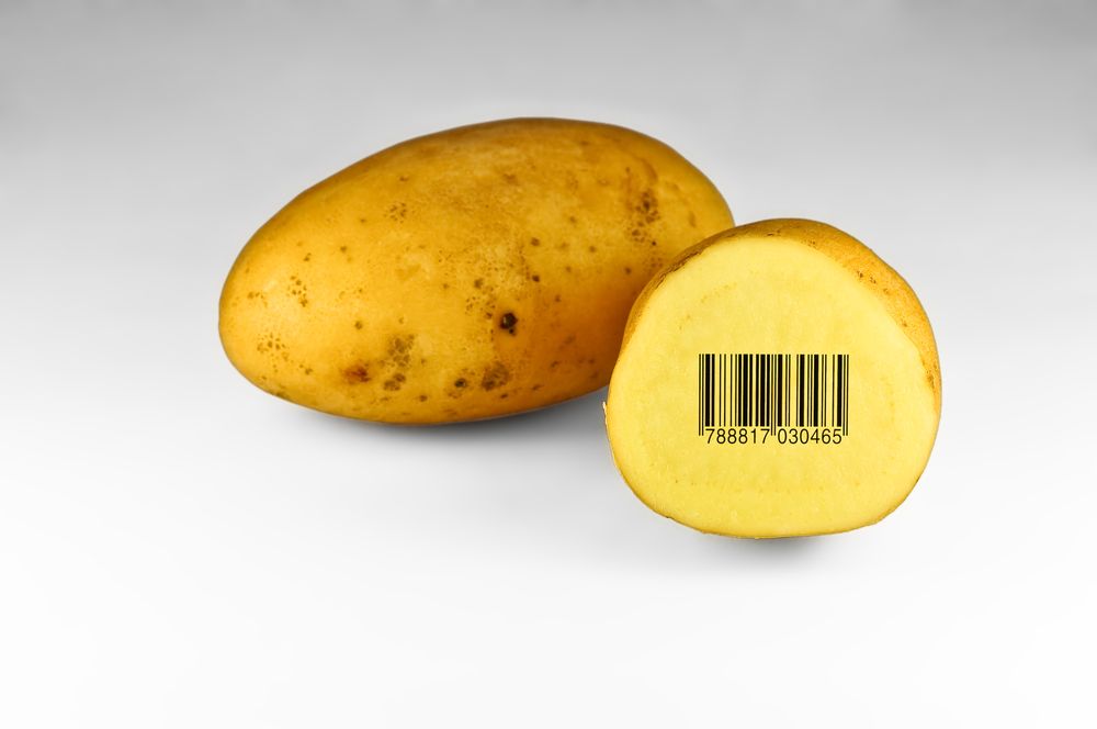 Food safety boss says it’s time to put aside 'irrational fears of GM technology'