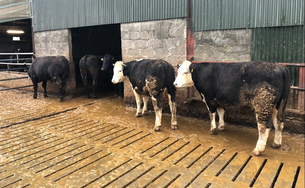 Value of using data records to benchmark farm performance
