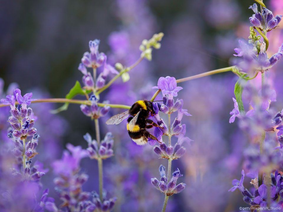 Muir: Over £4.6m approved under nature-friendly farming scheme