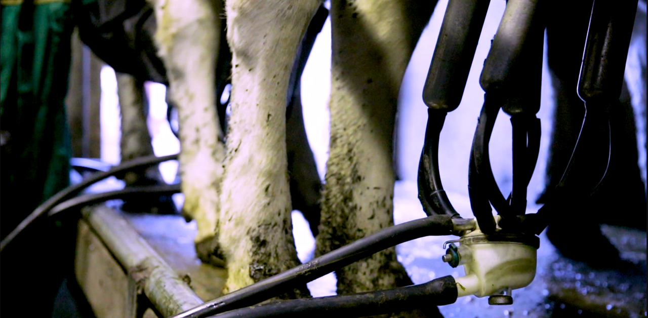Call for end to retrospective milk pricing in NI