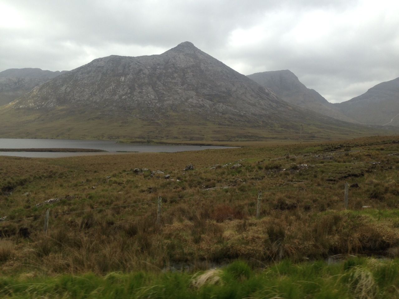 Landowner fined for damaging protected habitat