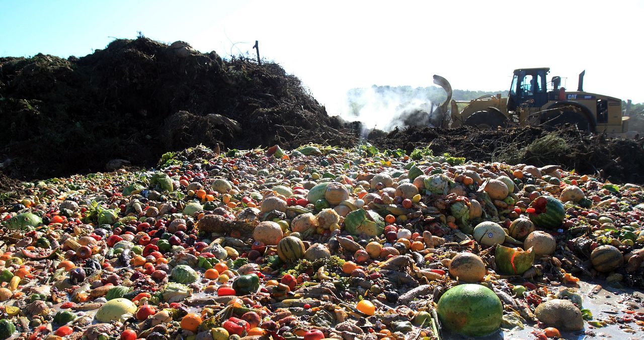 Walmart Foundation funds food waste trials with WRAP