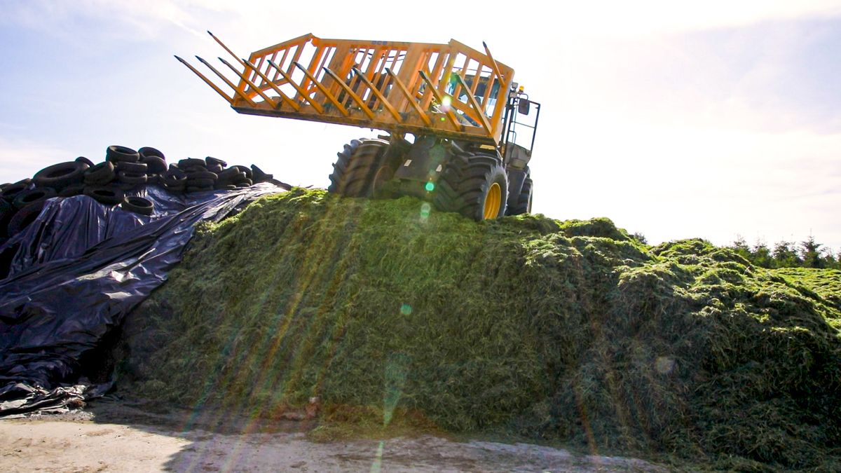 Farmers advised on how to prepare for a safe harvest season
