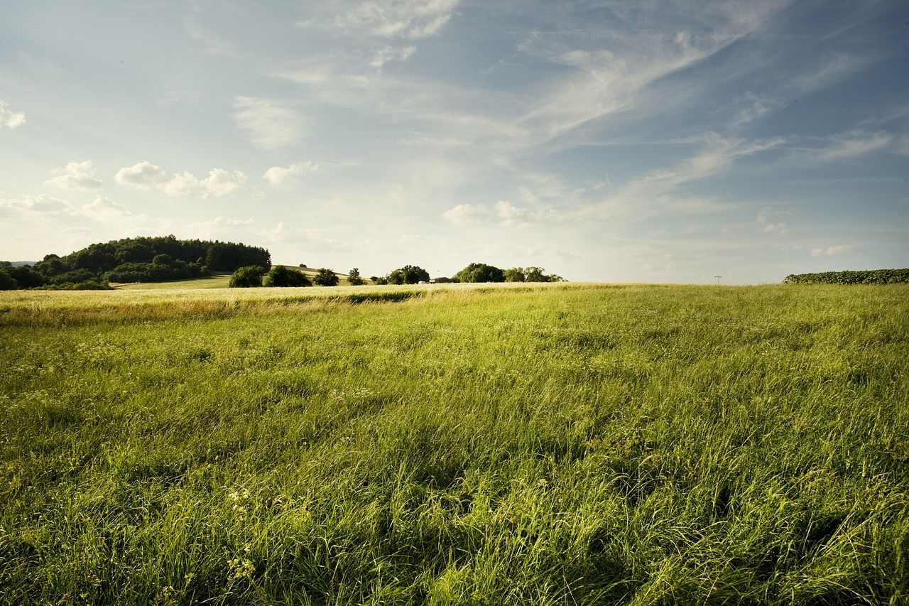 UFU partners with AFBI and AgriSearch for NI farming webinars