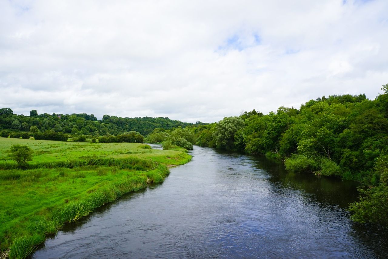 DAERA announces plans to ‘strengthen’ regulation of water pollution