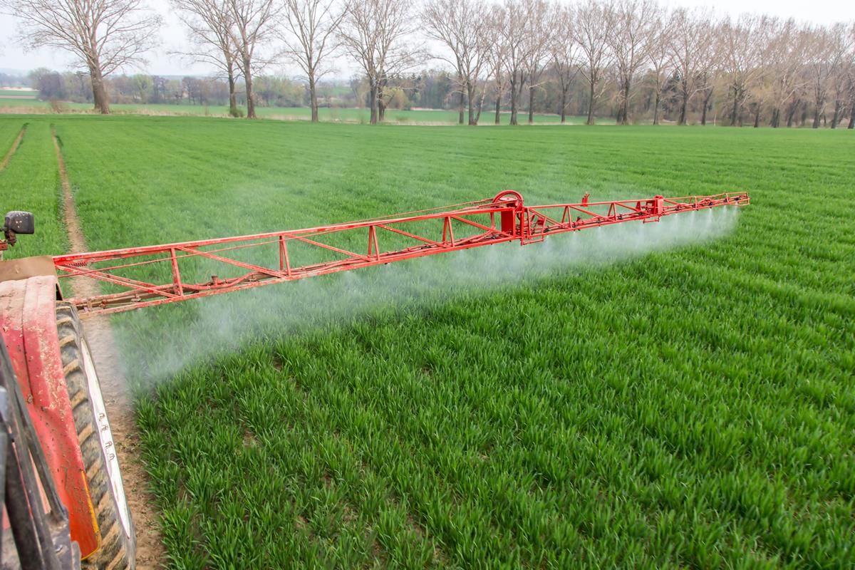 What is driving glyphosate resistance?