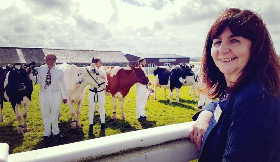 BPS loan support for Welsh farm businesses announced