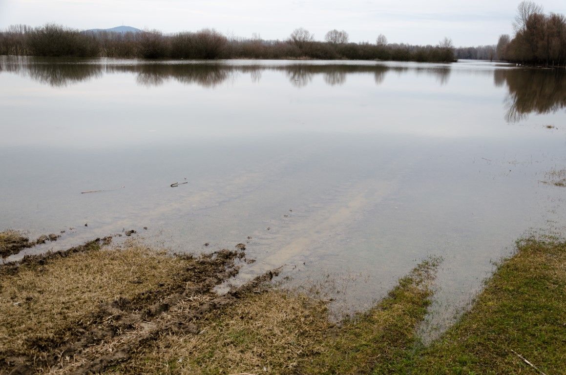 Farming Recovery Fund payments to be made this summer
