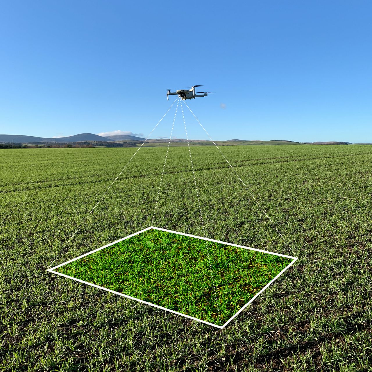Updated version of Skippy Scout aims to speed up crop walking