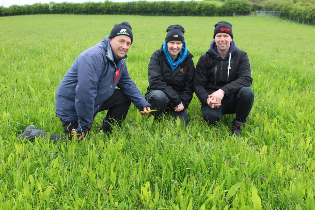 ARCZero project hosts its first farm walk