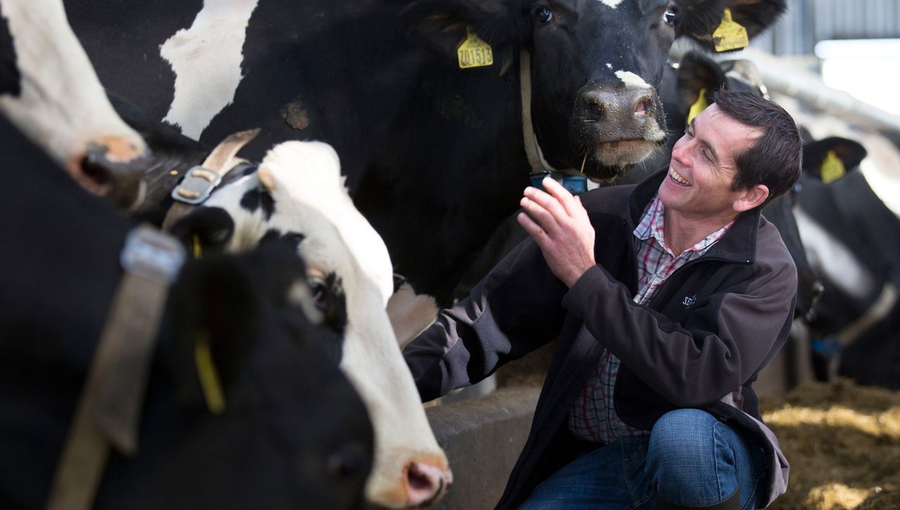 New programme aims to cut costs and increase profits