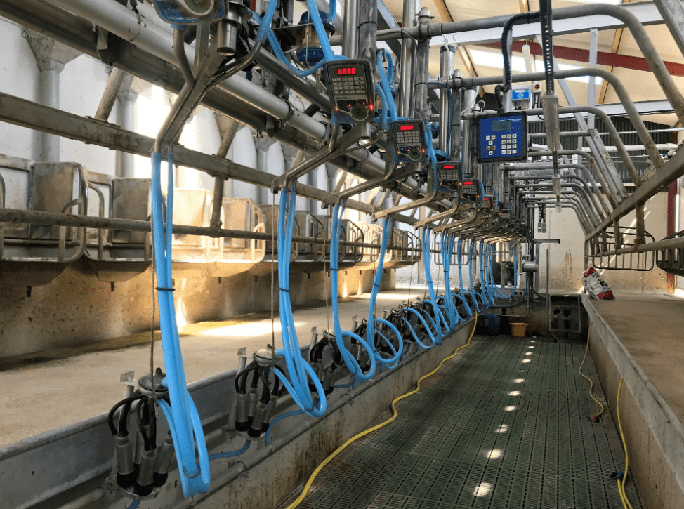 Dairy advice: Time to service your milking machine