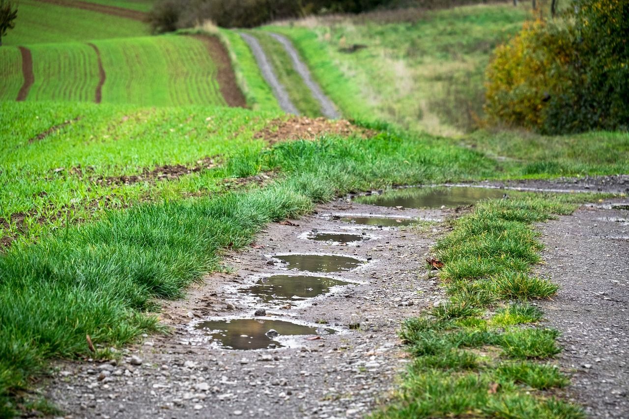 NDG: 'Farmers are currently facing the problem of too much water'