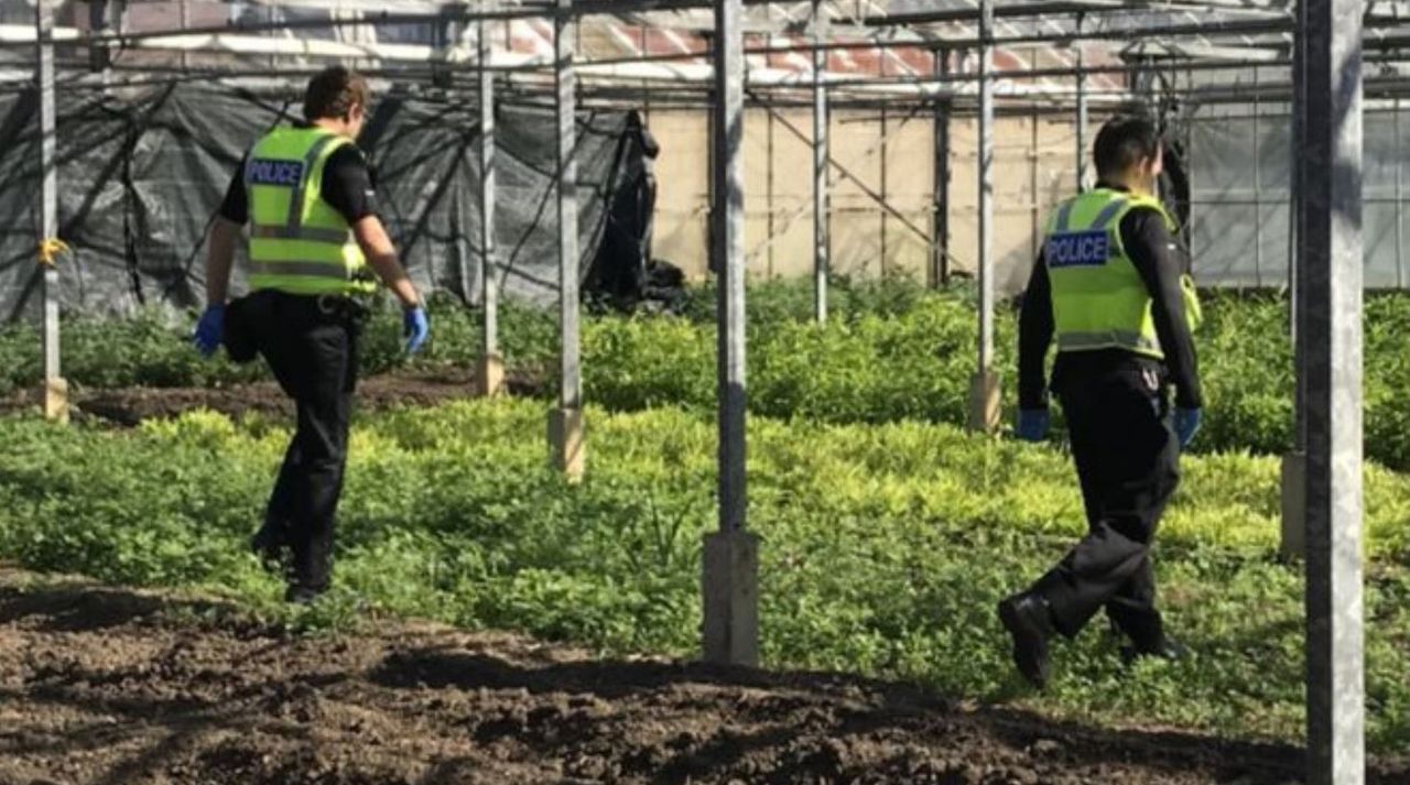 8 potential slavery victims rescued from Cambridge farm