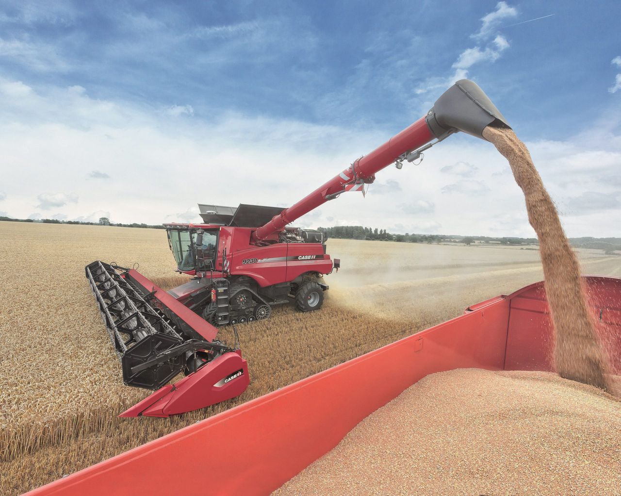 Good EU-28 cereal yields predicted