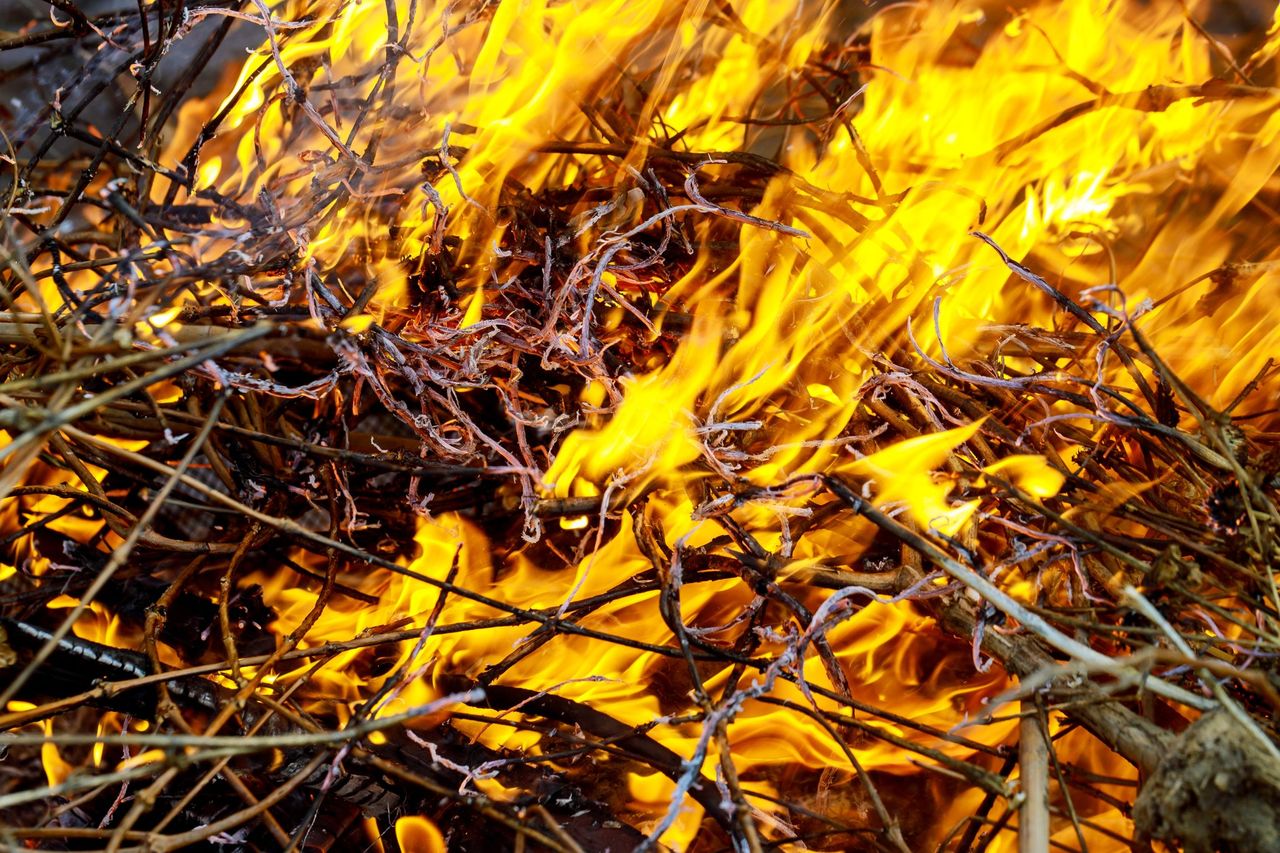 ‘Stop before someone is injured or killed’ – Muir on wildfires
