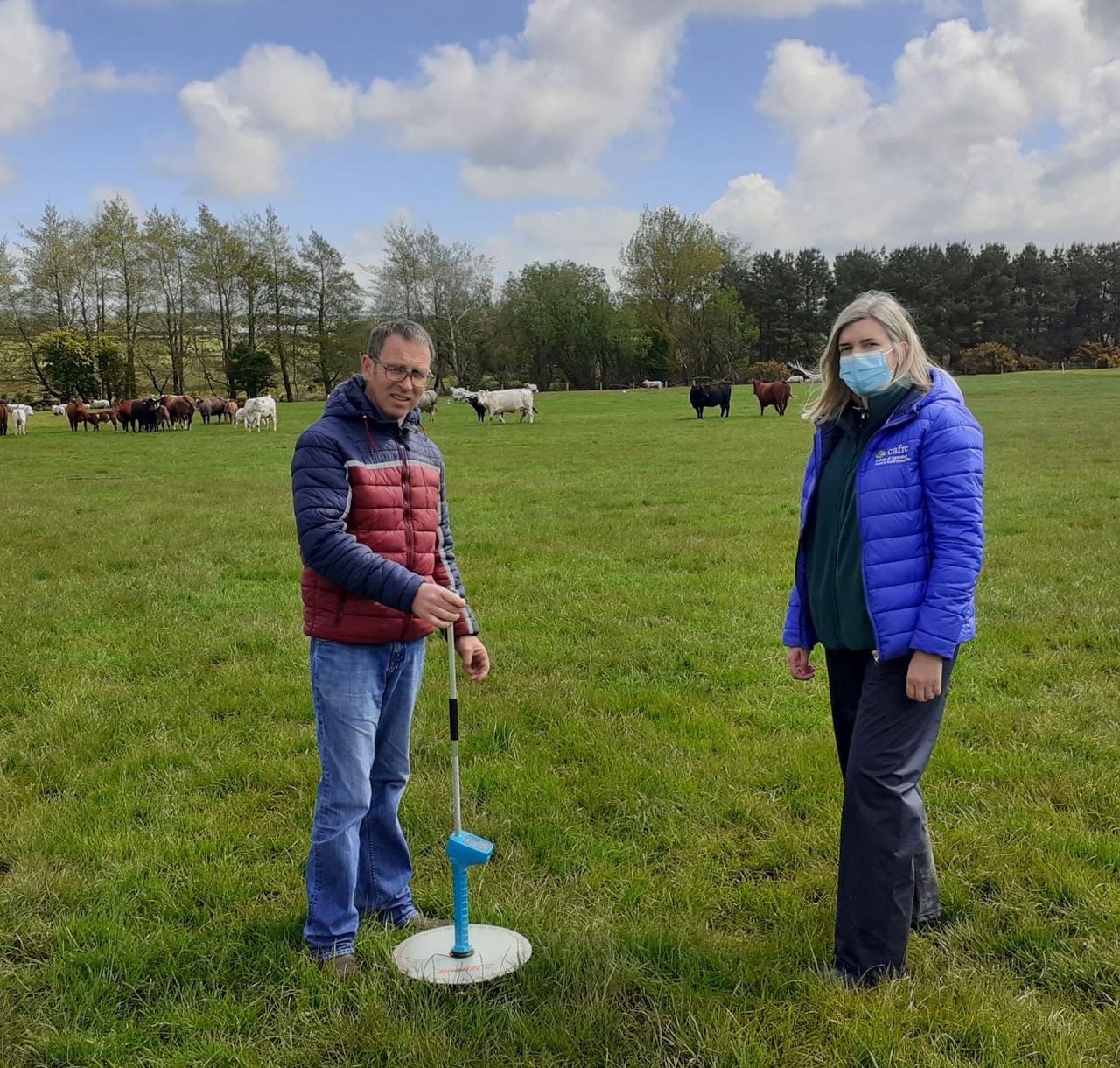 Two new Beef Technology Demonstration Farms unveiled for NI